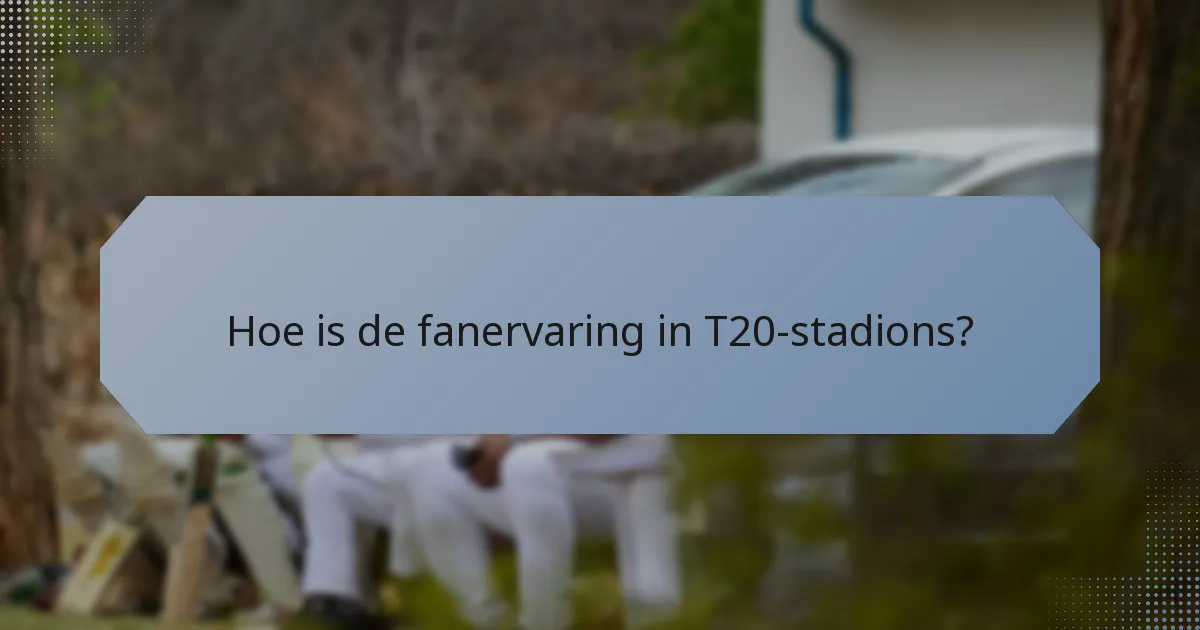 Hoe is de fanervaring in T20-stadions?