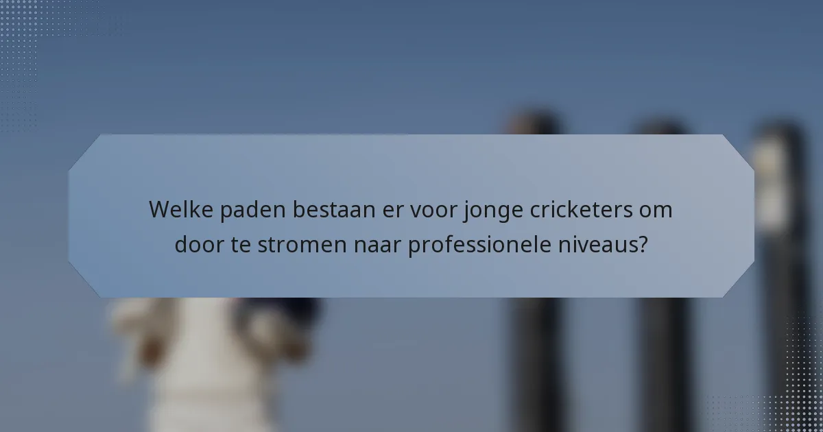 Welke paden bestaan er voor jonge cricketers om door te stromen naar professionele niveaus?